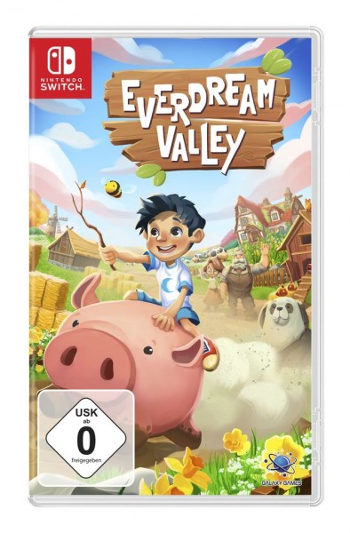 Everdream Valley (Nintendo Switch)